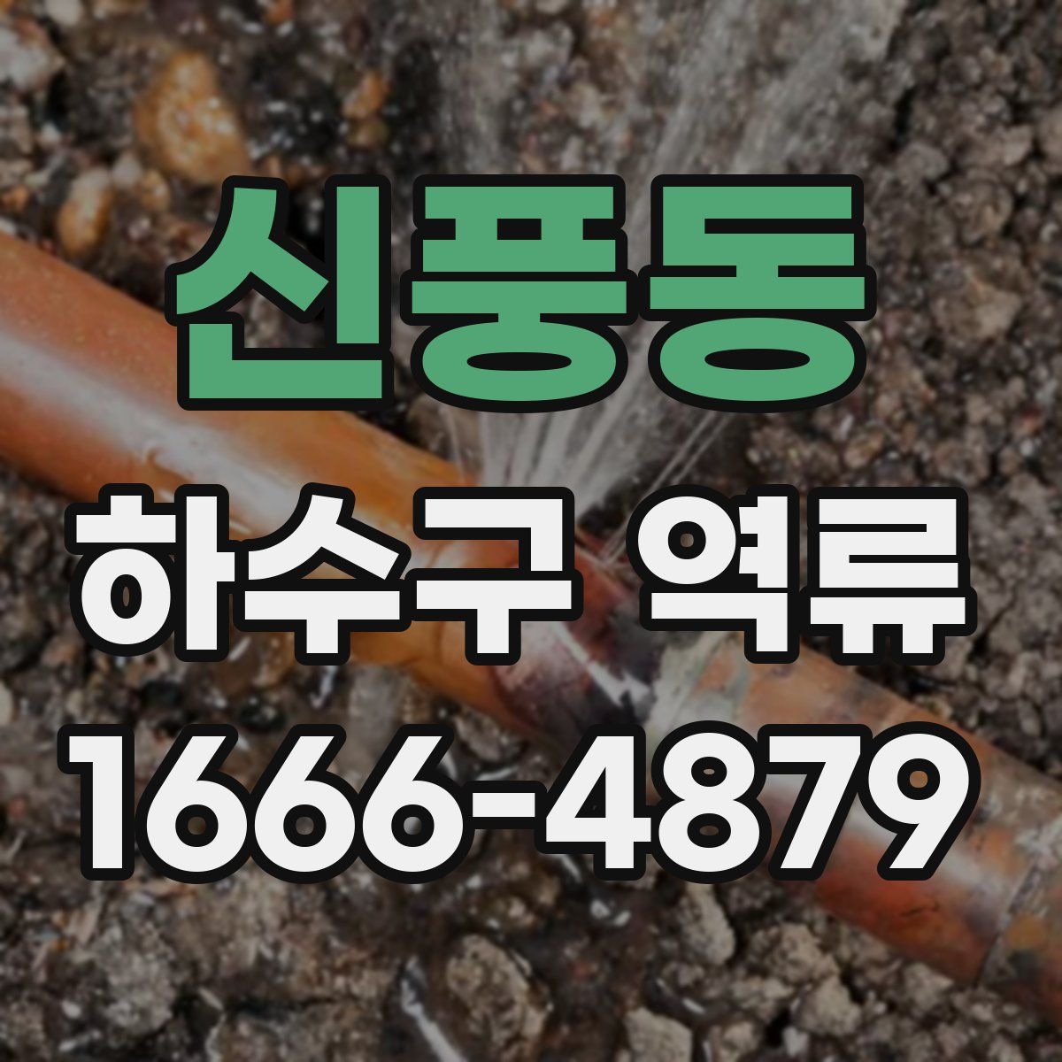 신풍동 하수구 역류