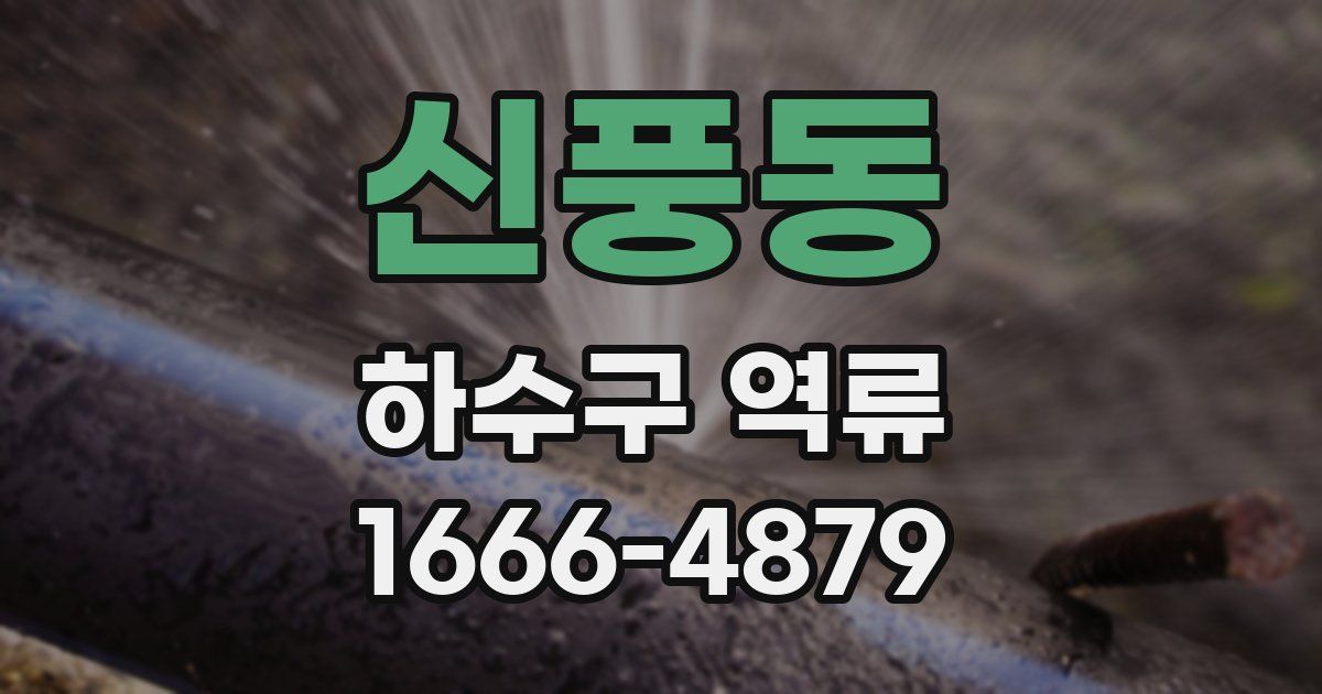 신풍동 하수구 역류
