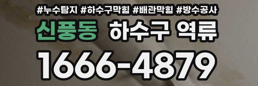 신풍동 하수구 역류