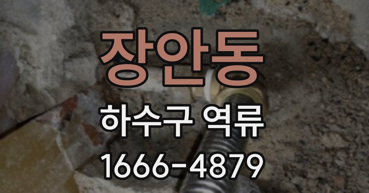장안동 하수구 역류