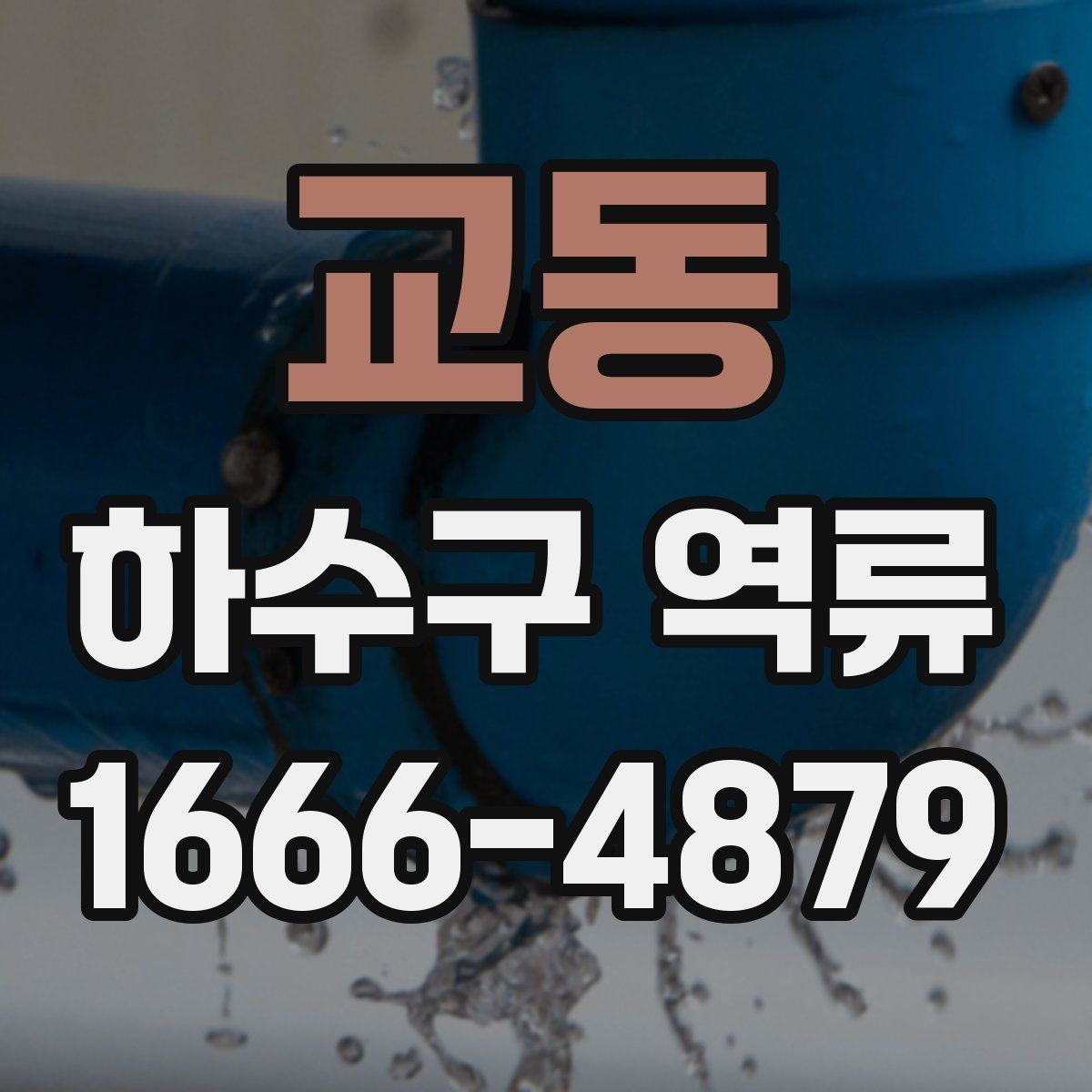 교동 하수구 역류