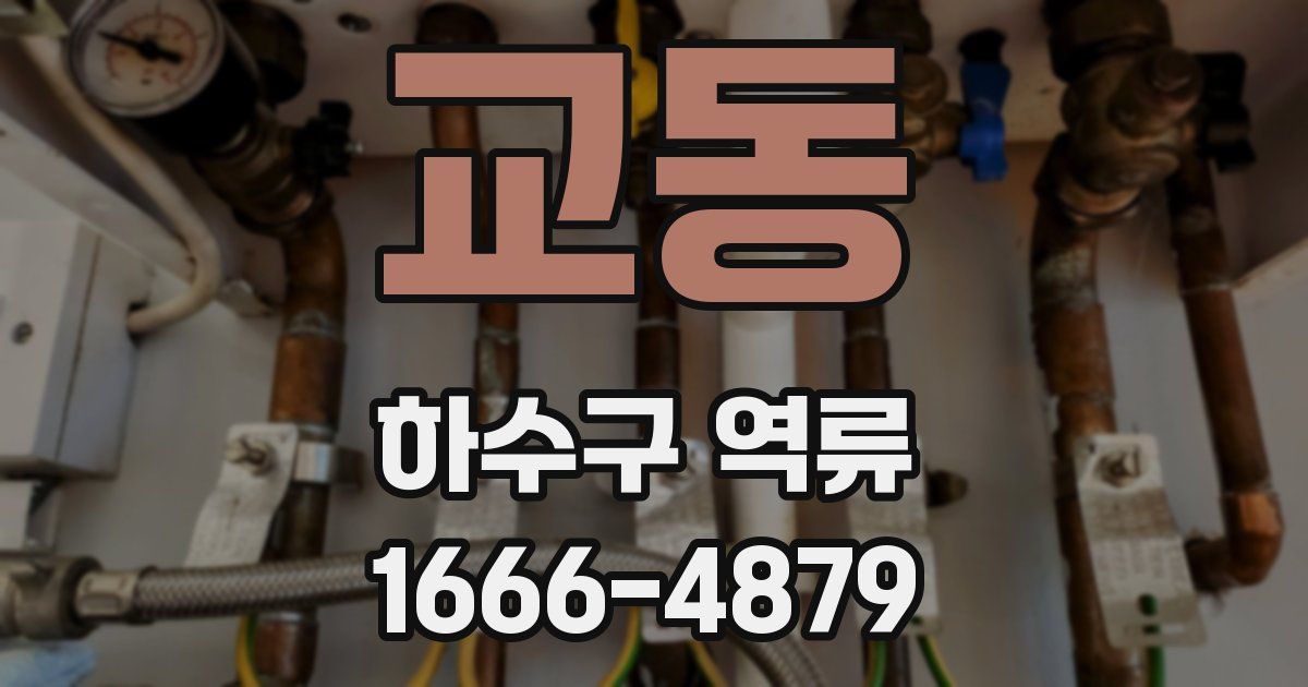 교동 하수구 역류