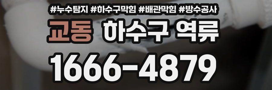 교동 하수구 역류