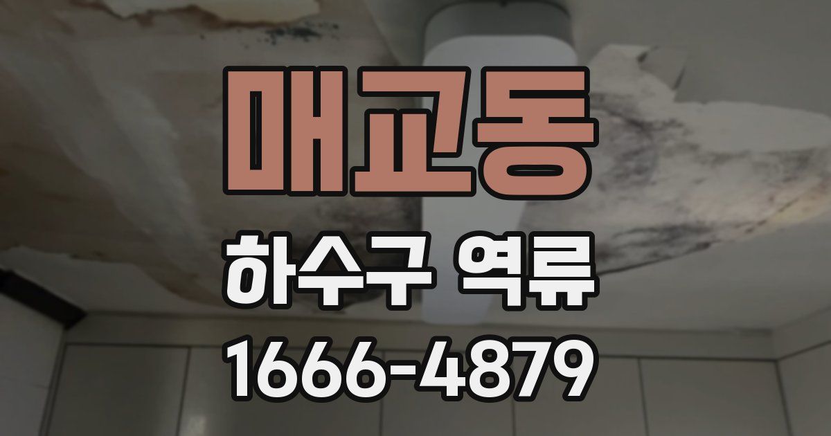 매교동 하수구 역류
