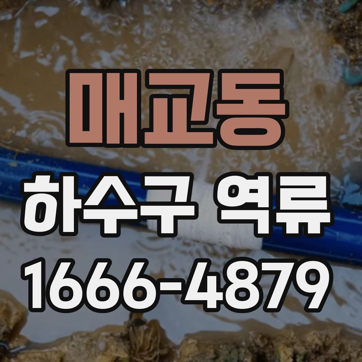 매교동 하수구 역류