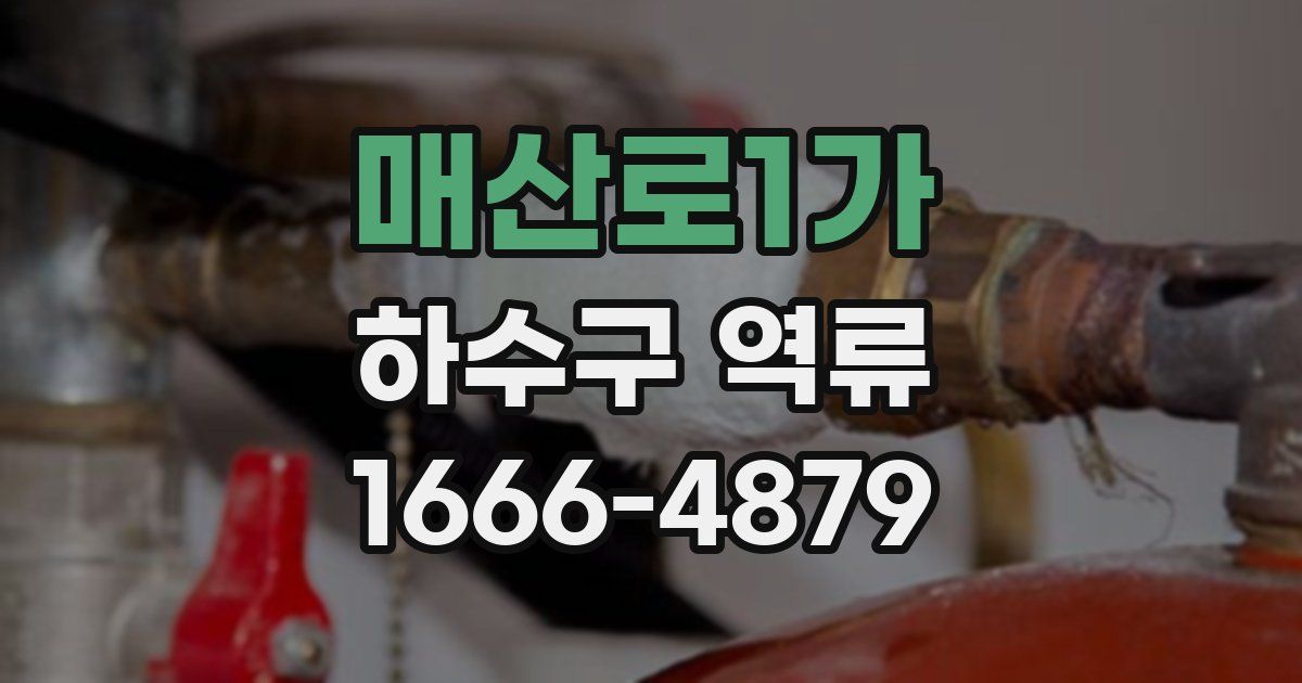 매산로1가 하수구 역류