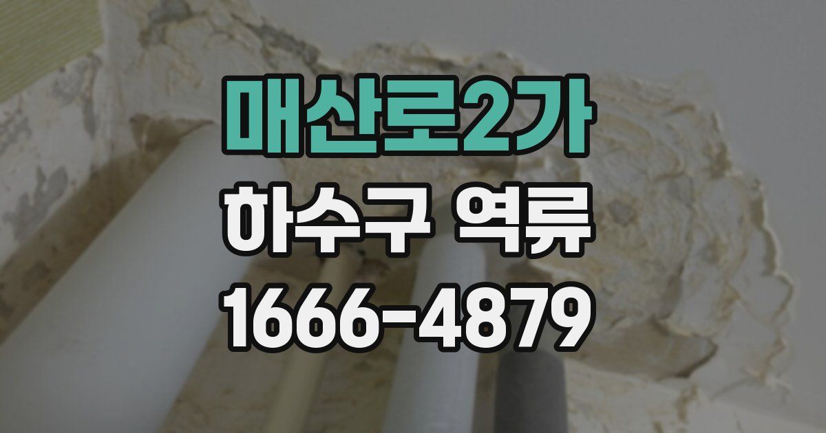 매산로2가 하수구 역류