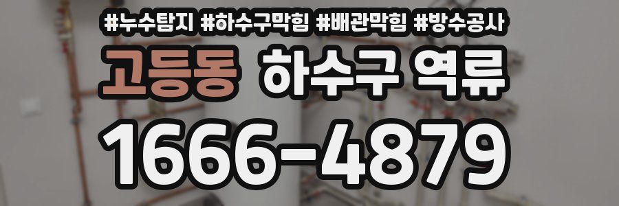 고등동 하수구 역류