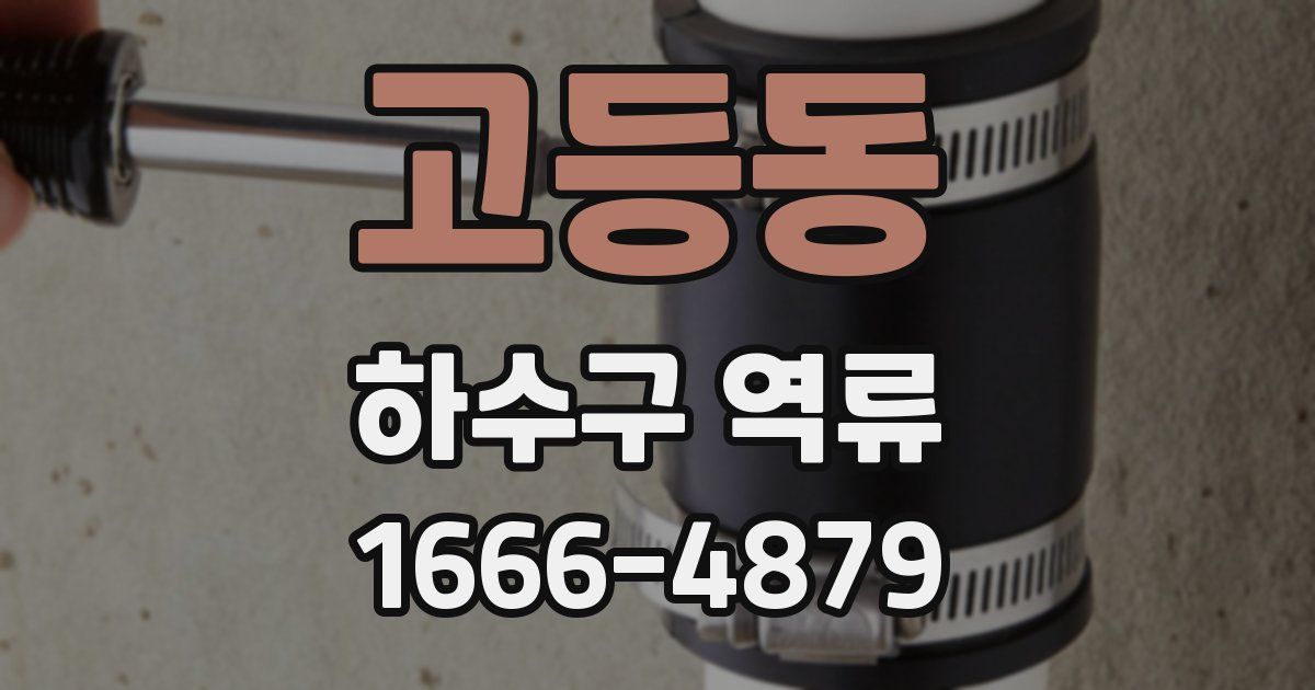 고등동 하수구 역류