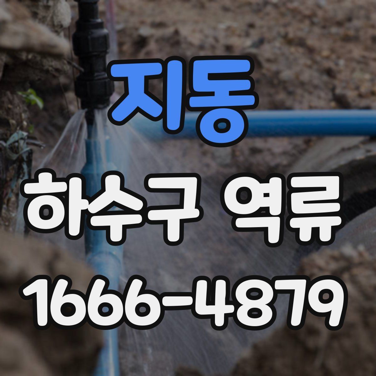 지동 하수구 역류