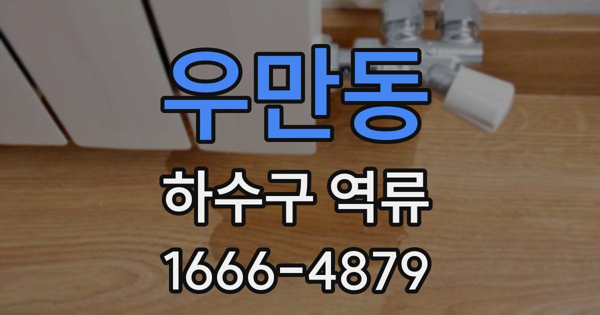 우만동 하수구 역류