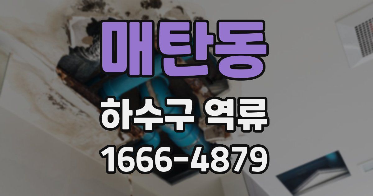 매탄동 하수구 역류