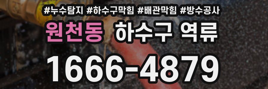 원천동 하수구 역류