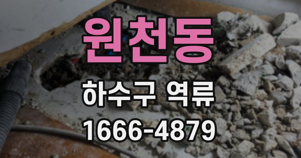 원천동 하수구 역류