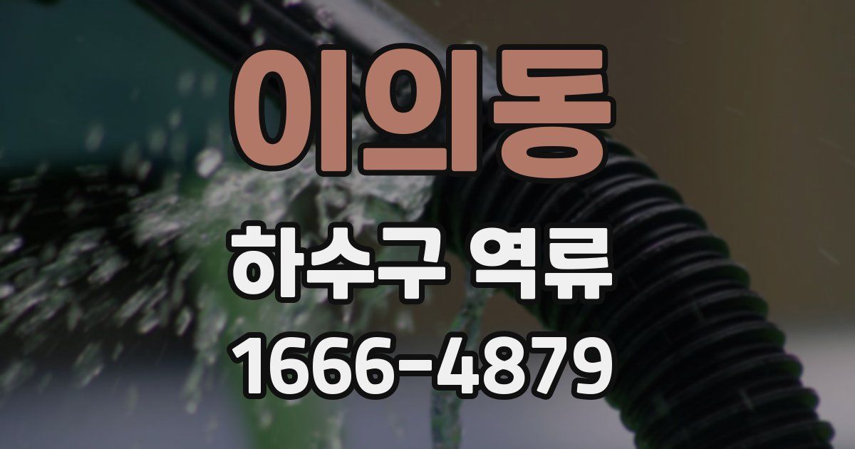 이의동 하수구 역류