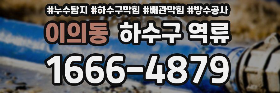이의동 하수구 역류