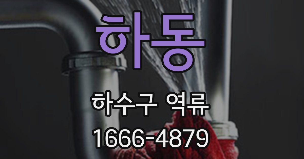 하동 하수구 역류
