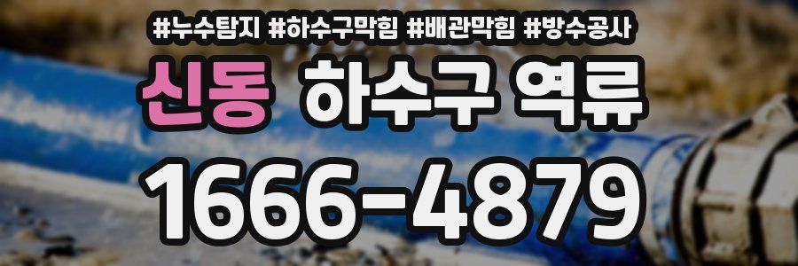 신동 하수구 역류