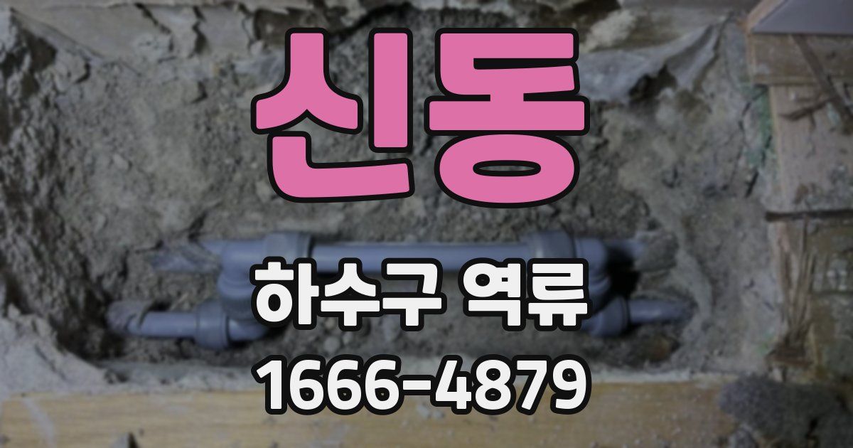 신동 하수구 역류