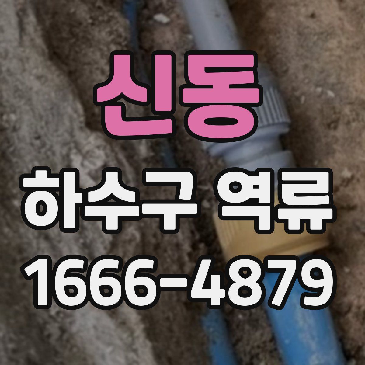 신동 하수구 역류