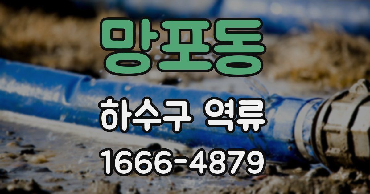 망포동 하수구 역류