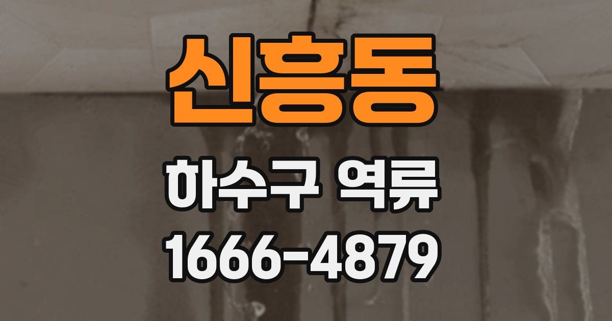 신흥동 하수구 역류
