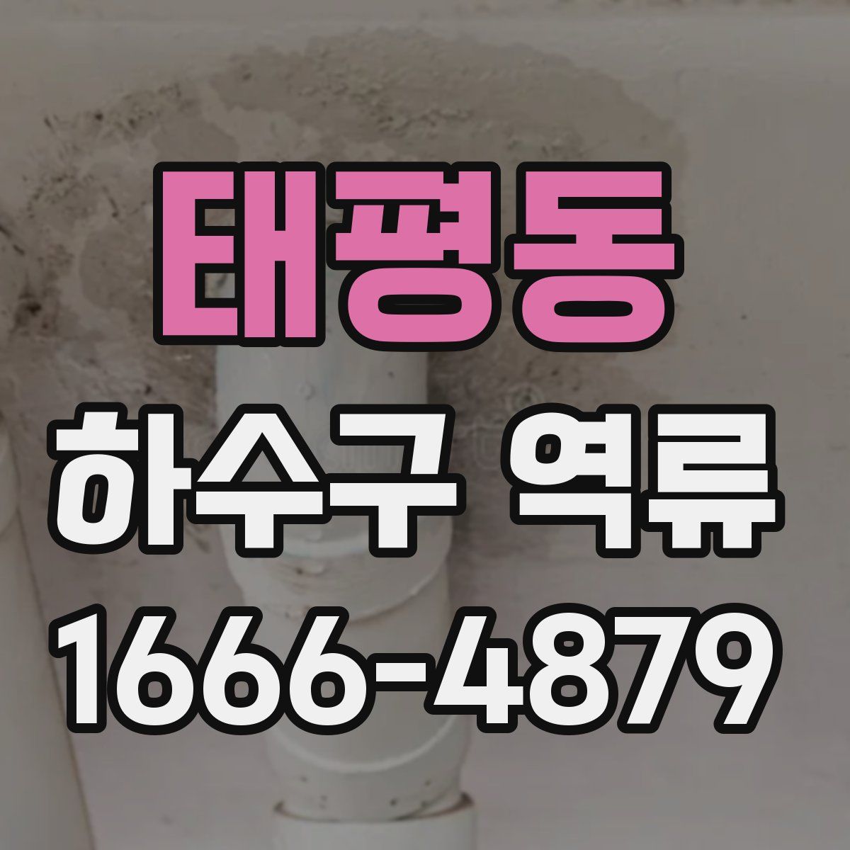 태평동 하수구 역류
