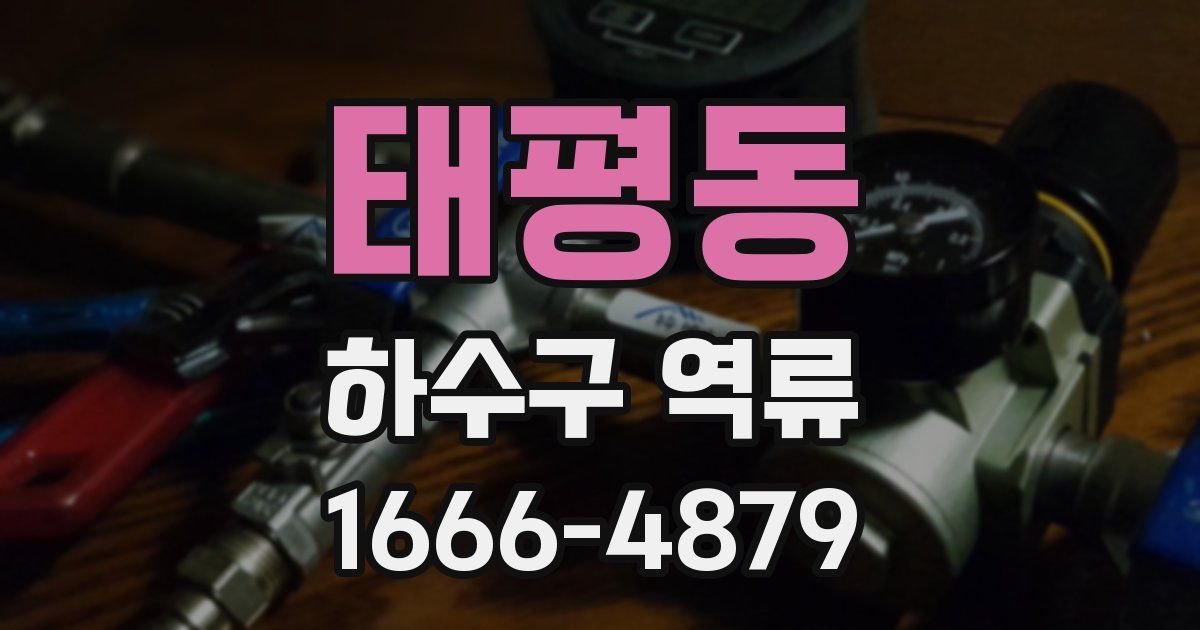 태평동 하수구 역류