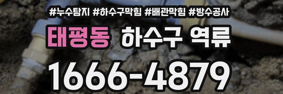 태평동 하수구 역류