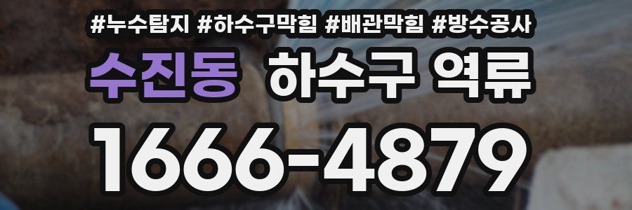 수진동 하수구 역류