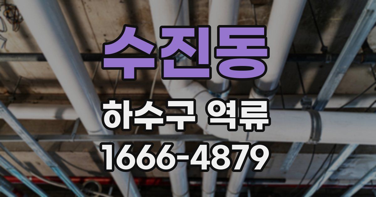 수진동 하수구 역류