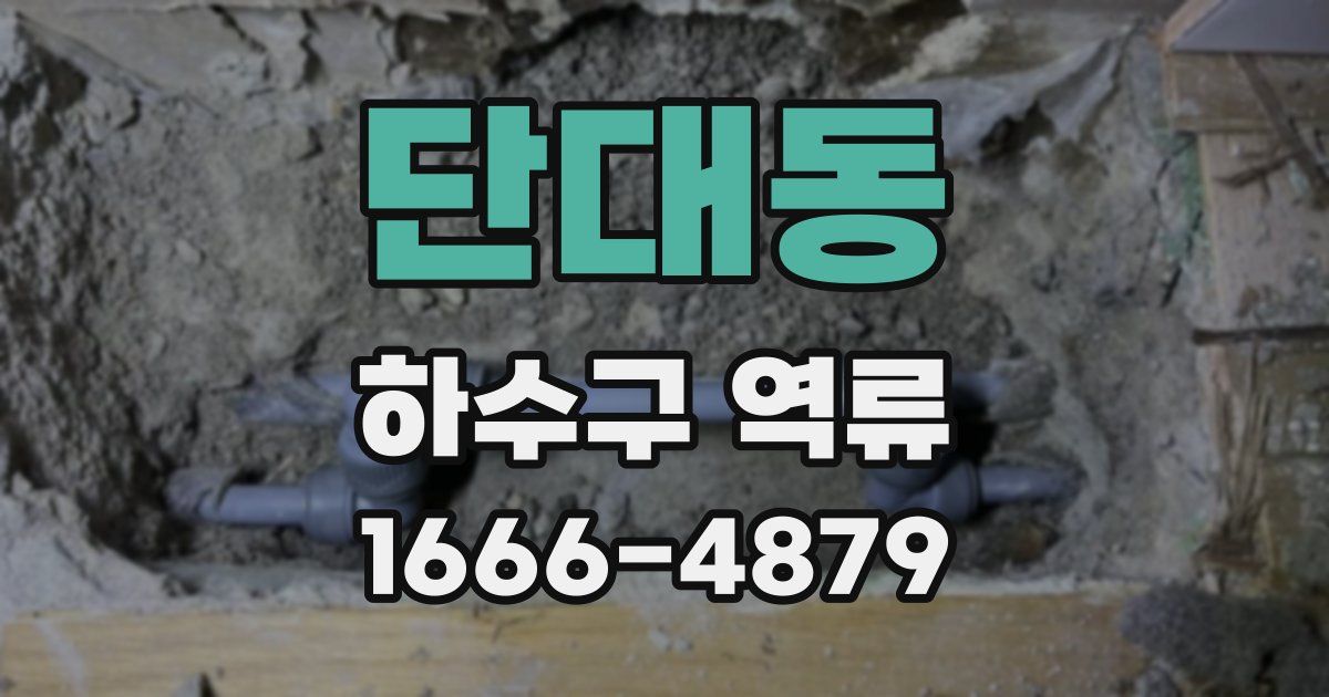 단대동 하수구 역류