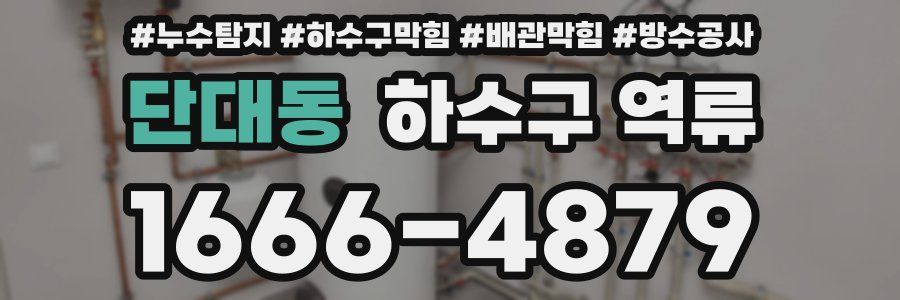 단대동 하수구 역류