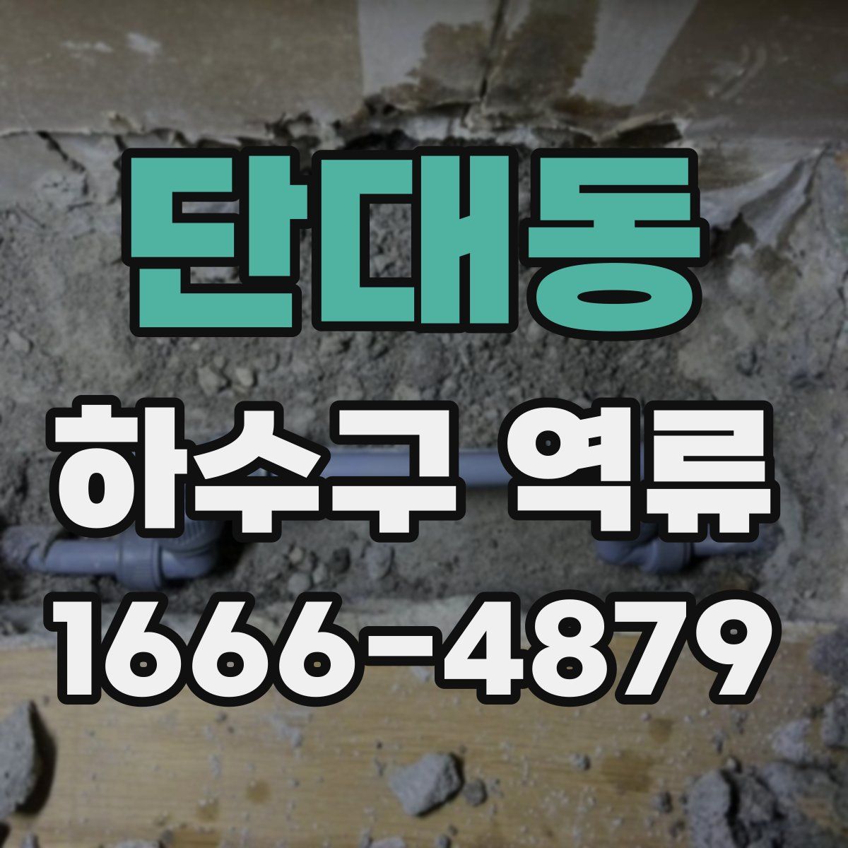 단대동 하수구 역류