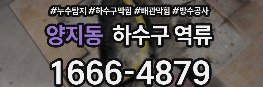 양지동 하수구 역류
