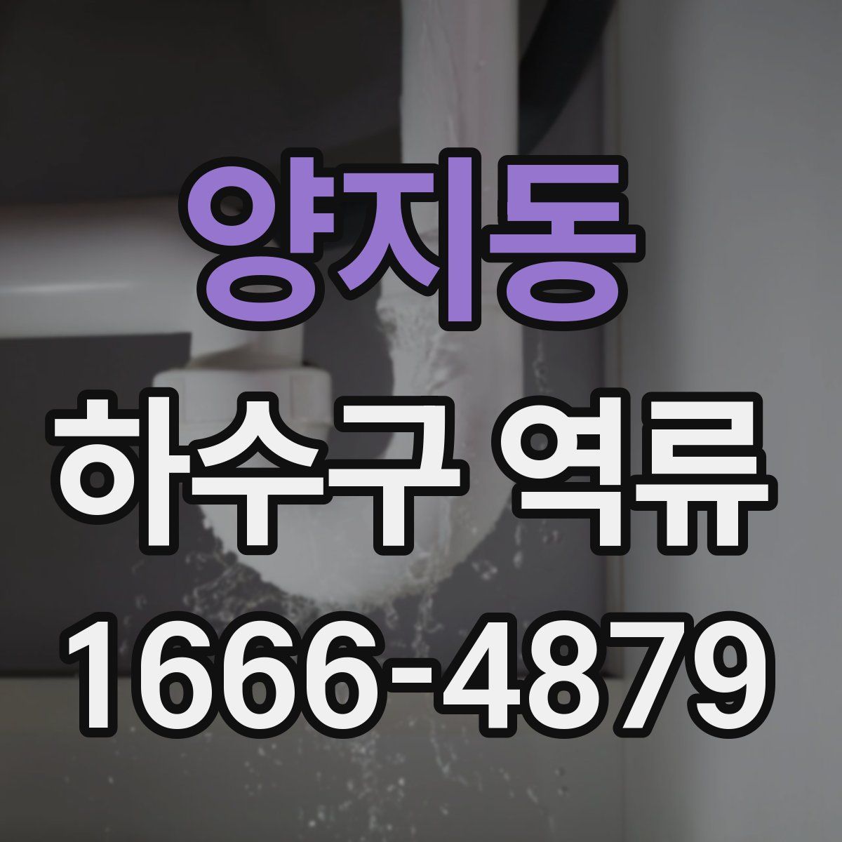 양지동 하수구 역류