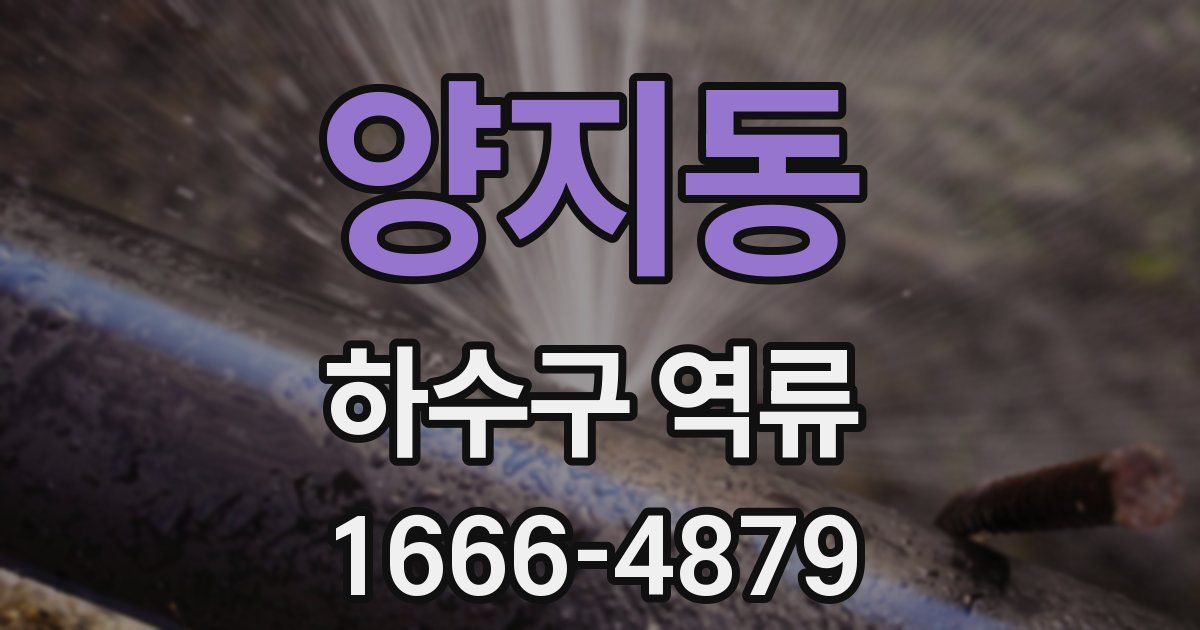 양지동 하수구 역류