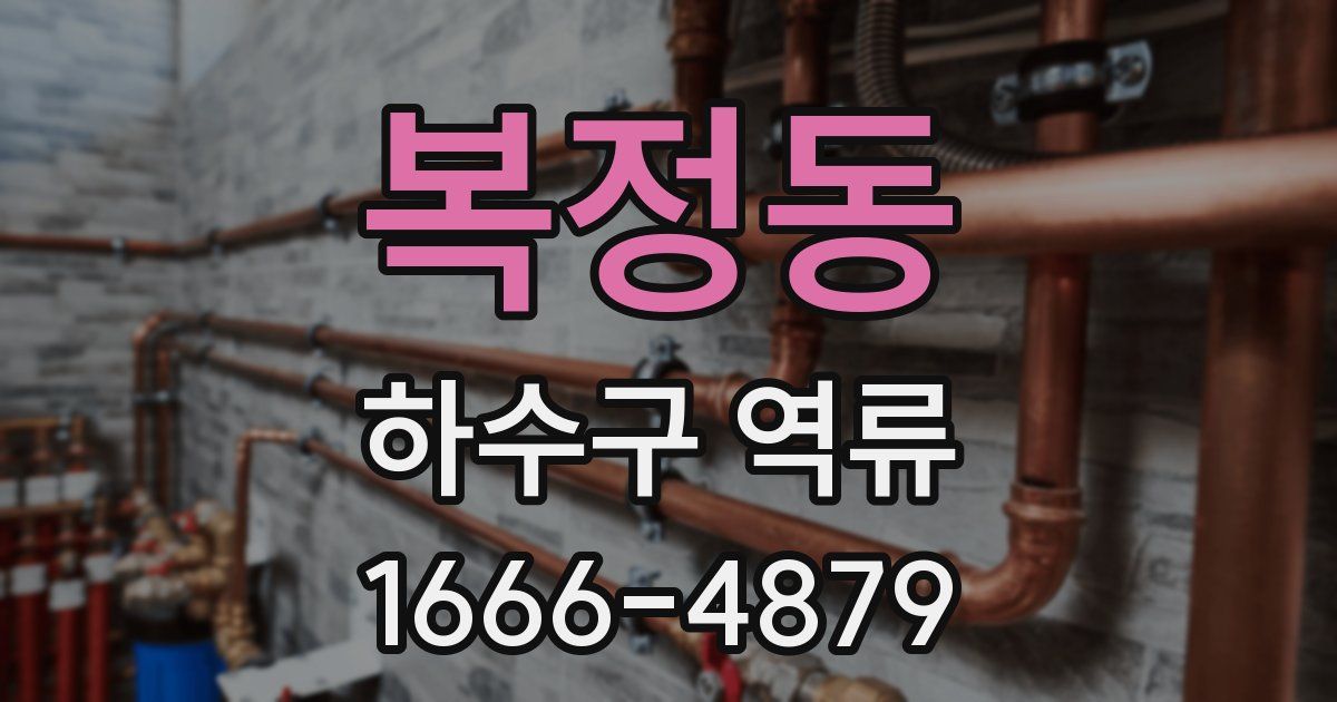 복정동 하수구 역류