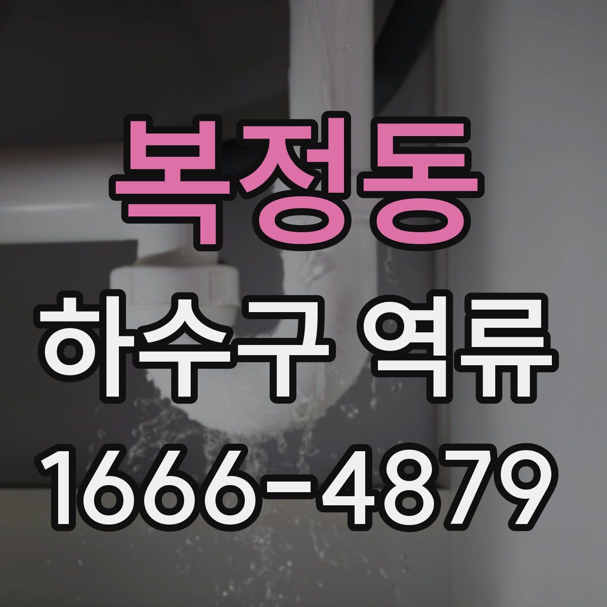 복정동 하수구 역류