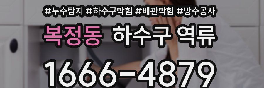 복정동 하수구 역류