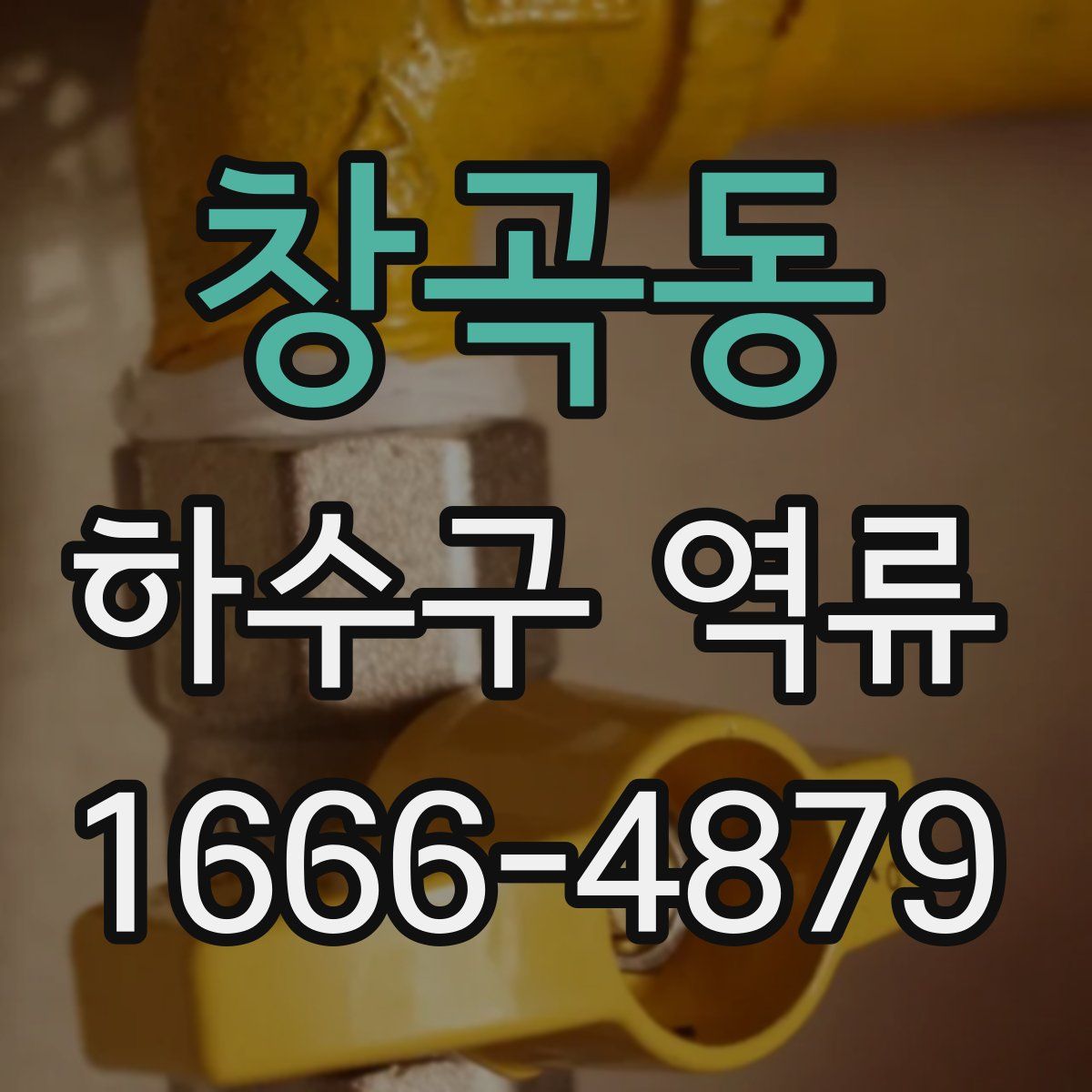 창곡동 하수구 역류