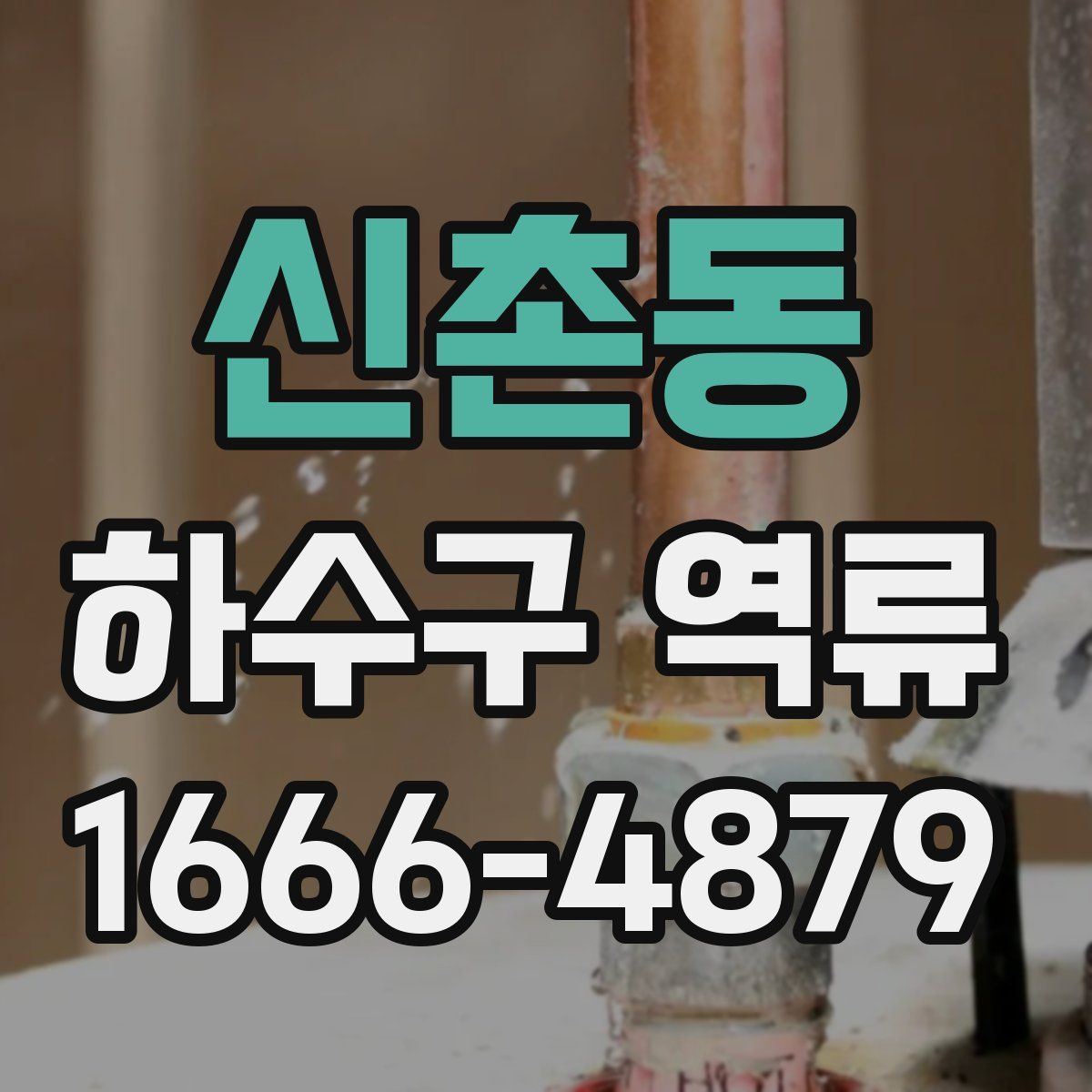 신촌동 하수구 역류