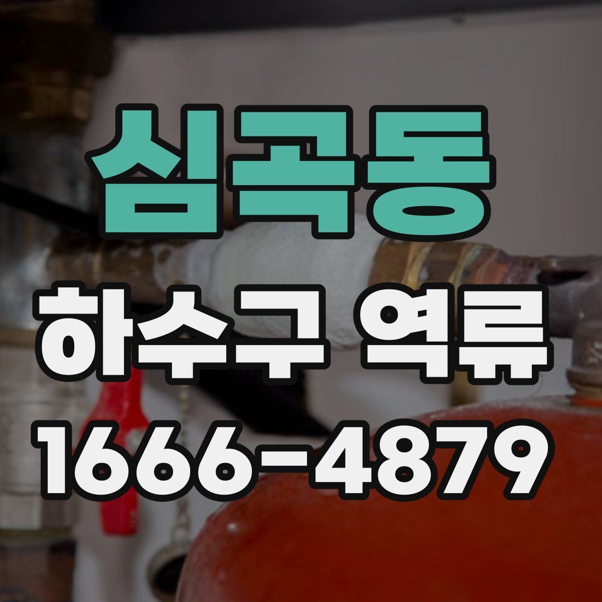 심곡동 하수구 역류