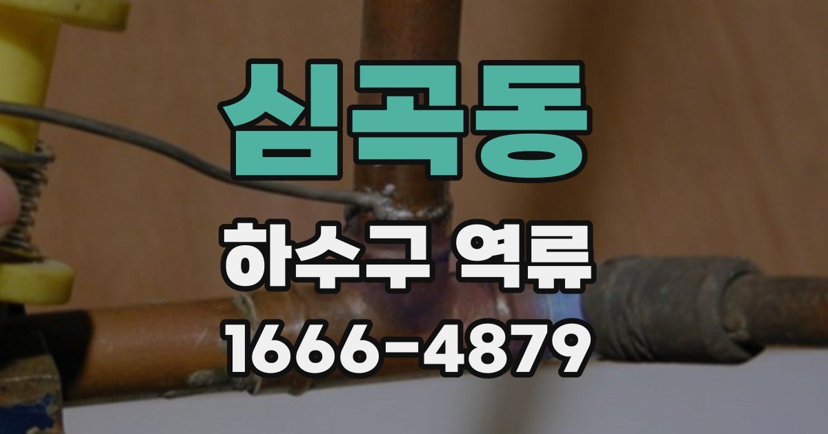 심곡동 하수구 역류