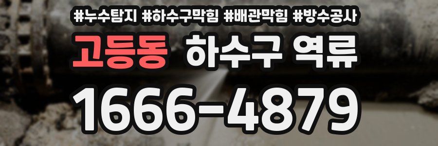 고등동 하수구 역류