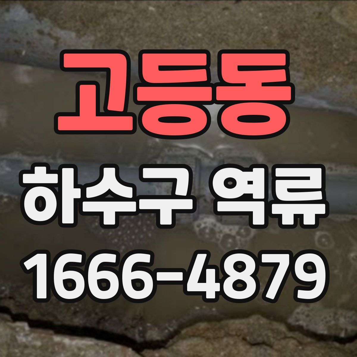 고등동 하수구 역류
