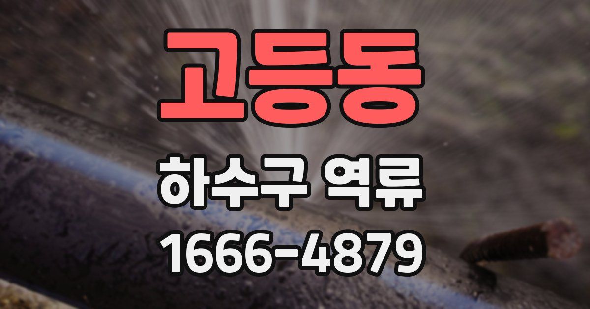 고등동 하수구 역류