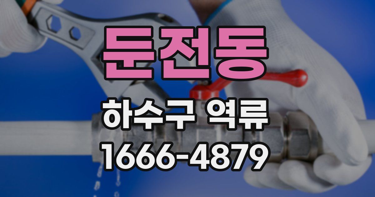 둔전동 하수구 역류