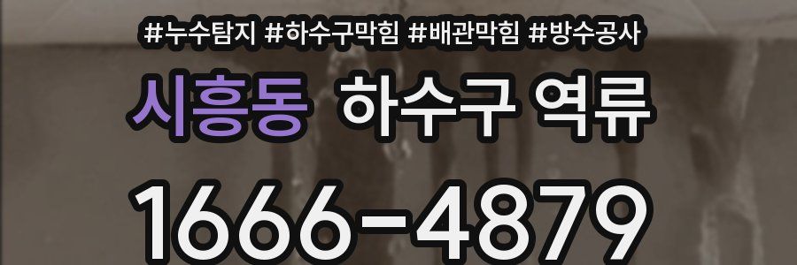 시흥동 하수구 역류