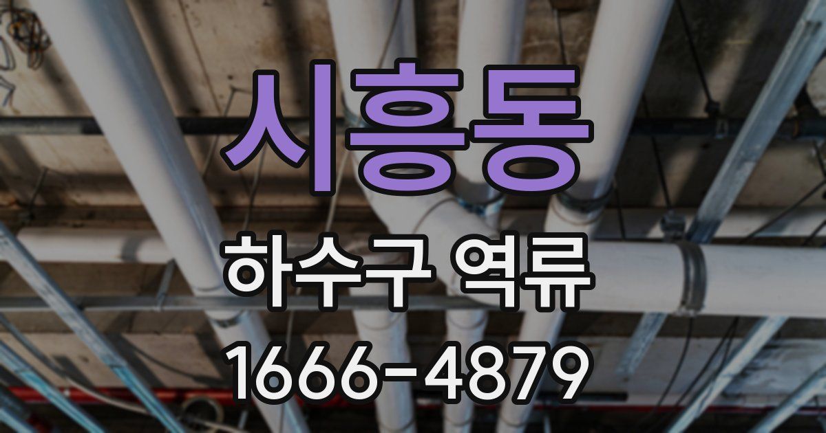 시흥동 하수구 역류